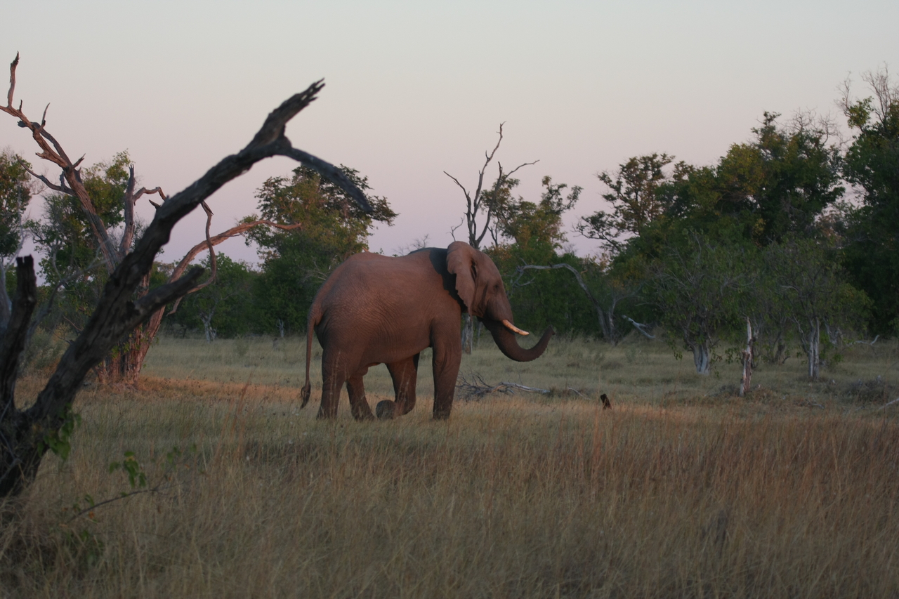 [20170] 2016_06_28_11_53_44_Africa_Canon_EOS_40D_IMG__03159.jpg