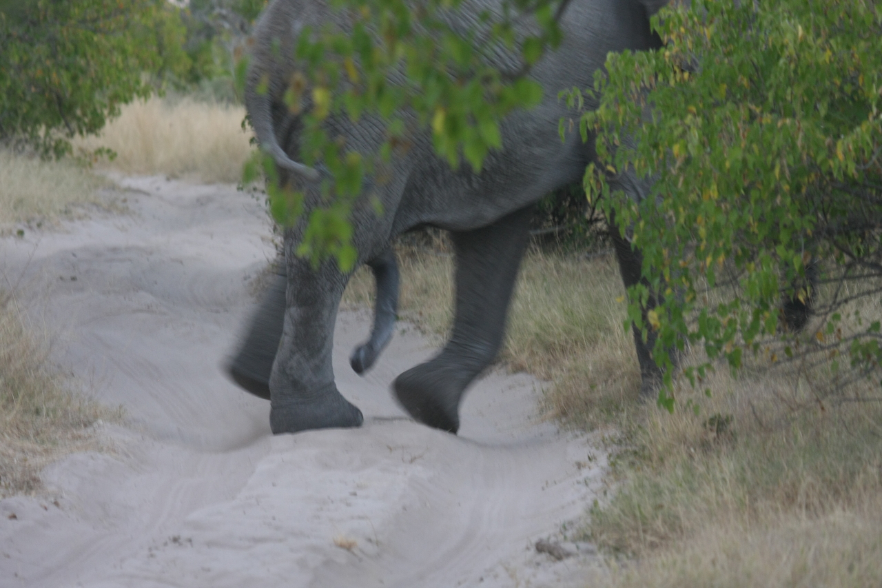 [20337] 2016_06_28_12_00_25_Africa_Canon_EOS_40D_IMG__10662.jpg