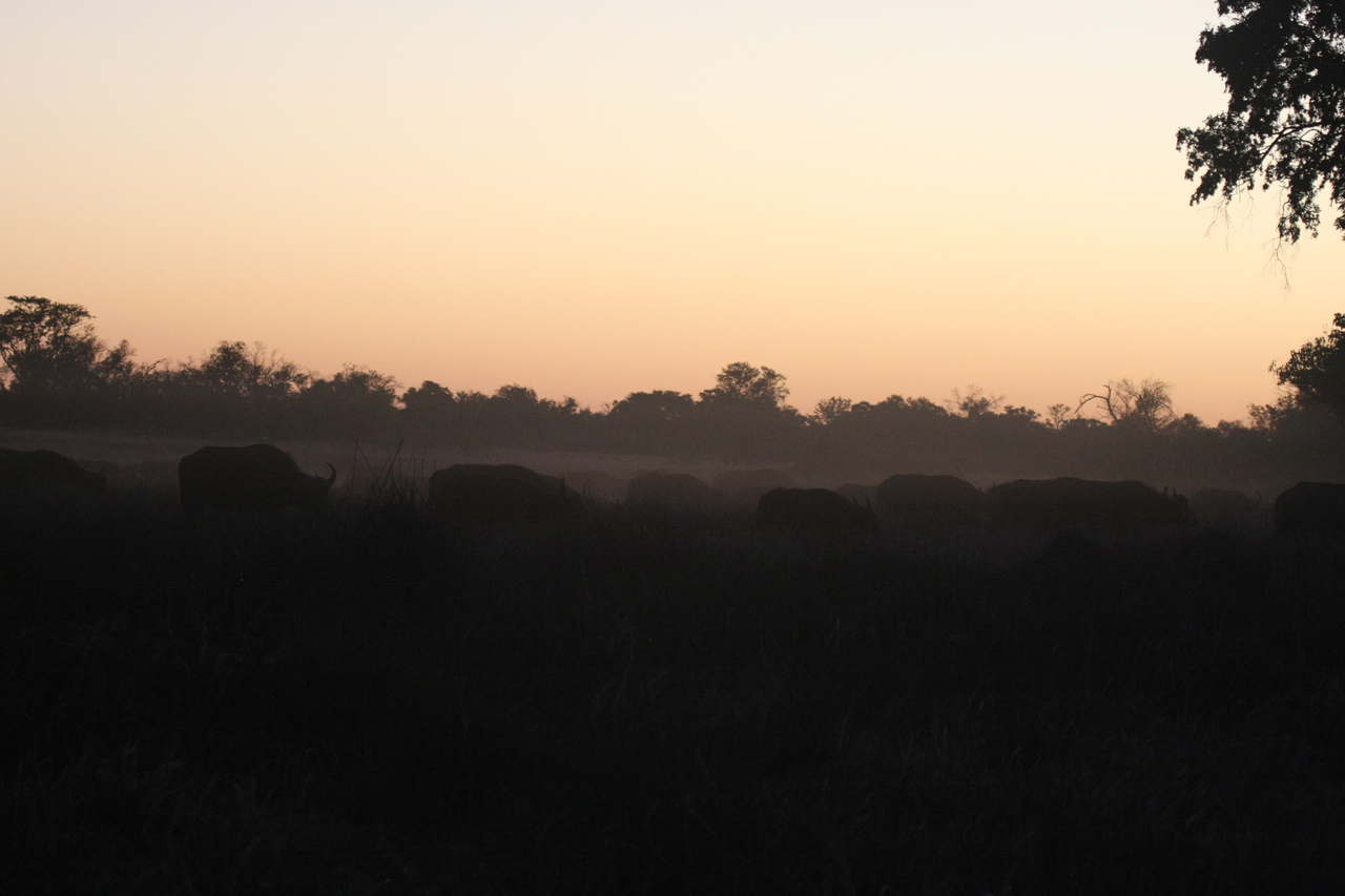 [20347] 2016_06_28_12_17_47_Africa_Canon_EOS_40D_IMG__00832.jpg