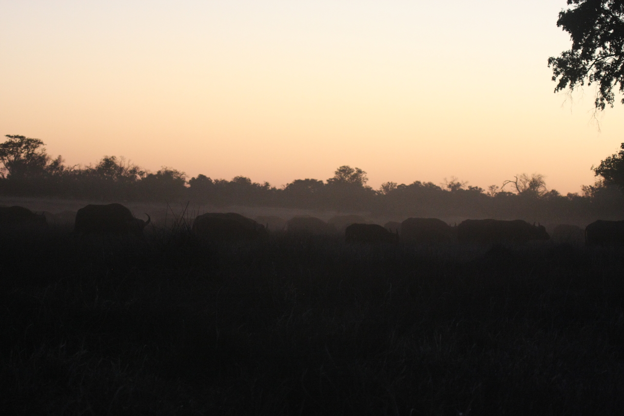 [20350] 2016_06_28_12_17_47_Africa_Canon_EOS_40D_IMG__10665.jpg