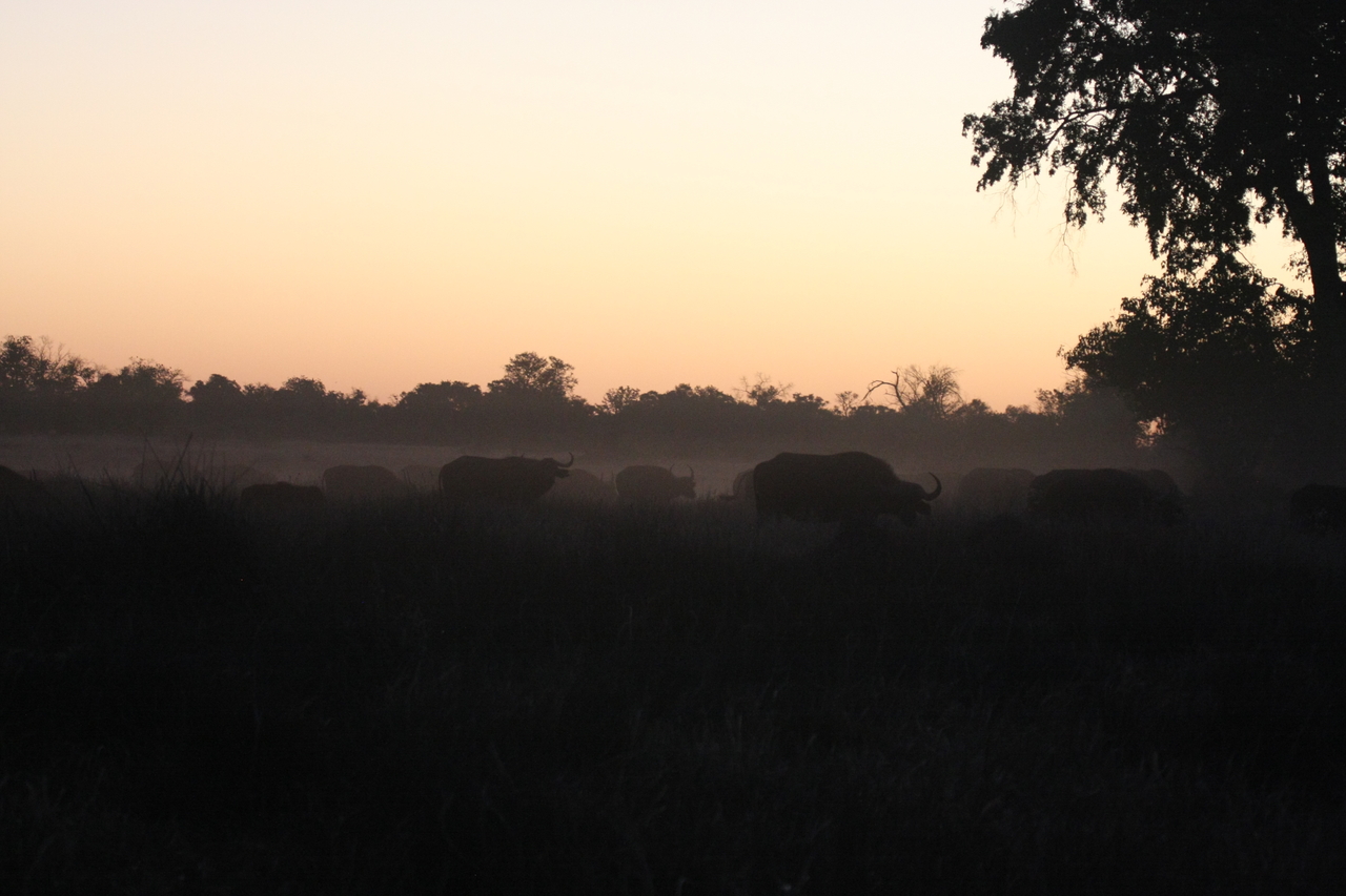 [20361] 2016_06_28_12_18_09_Africa_Canon_EOS_40D_IMG__00837.jpg