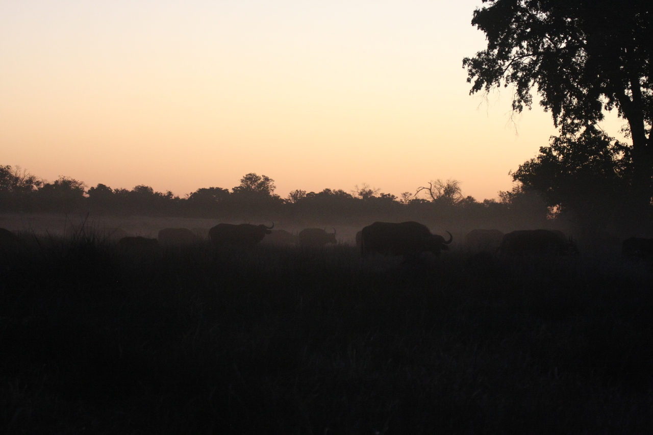 [20362] 2016_06_28_12_18_09_Africa_Canon_EOS_40D_IMG__00838.jpg
