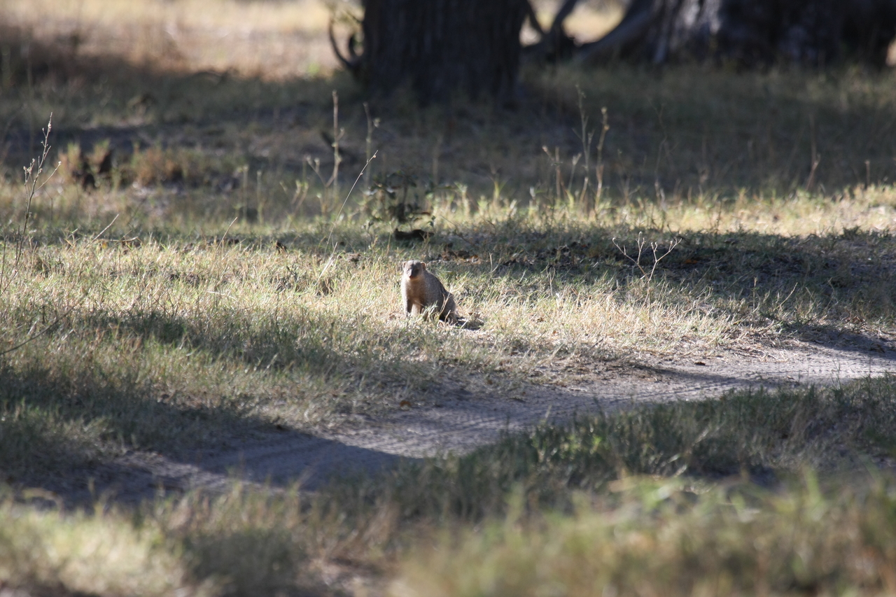 [20893] 2016_06_29_03_08_53_Africa_Canon_EOS_40D_IMG__10728.jpg