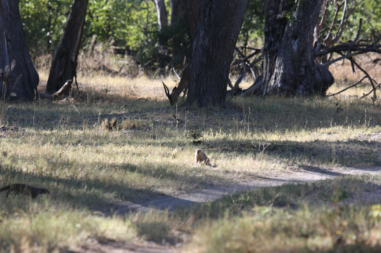 [20900] 2016_06_29_03_09_01_Africa_Canon_EOS_40D_IMG__10729.jpg