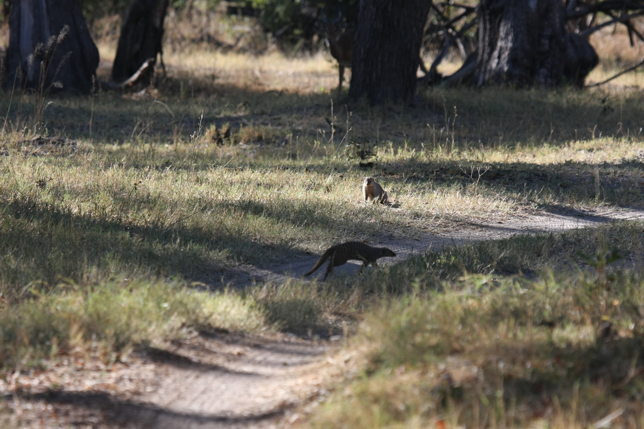 [20903] 2016_06_29_03_09_03_Africa_Canon_EOS_40D_IMG__00043.jpg
