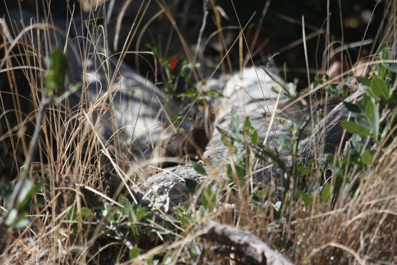 [21246] 2016_06_29_04_38_45_Africa_Canon_EOS_40D_IMG__00171.jpg