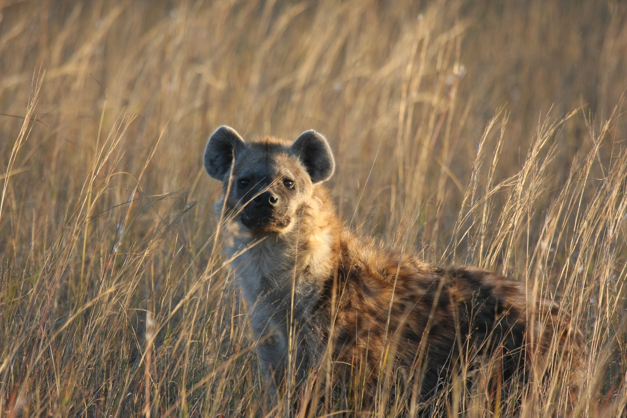 [21615] 2016_06_29_11_34_46_Africa_Canon_EOS_40D_IMG__03474.jpg