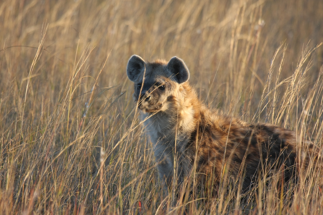 [21627] 2016_06_29_11_34_48_Africa_Canon_EOS_40D_IMG__00237.jpg