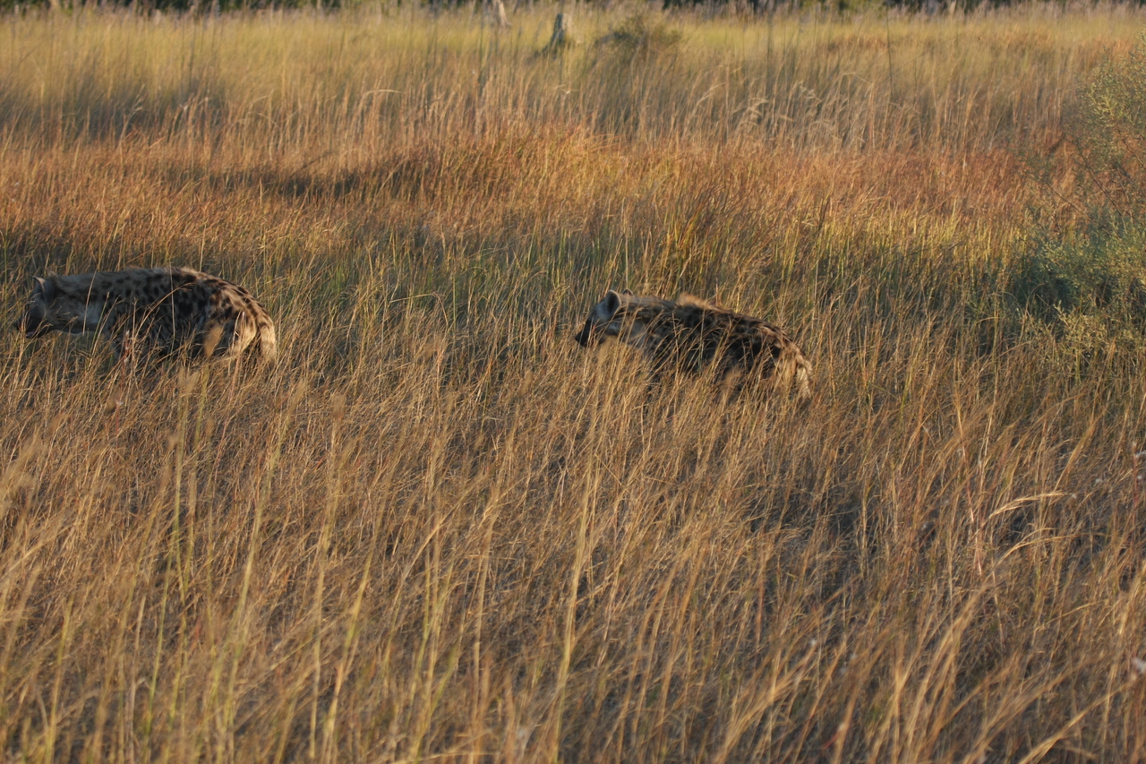 [21646] 2016_06_29_11_34_58_Africa_Canon_EOS_40D_IMG__00244.jpg