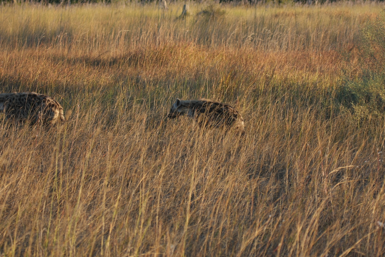 [21647] 2016_06_29_11_34_58_Africa_Canon_EOS_40D_IMG__00245.jpg