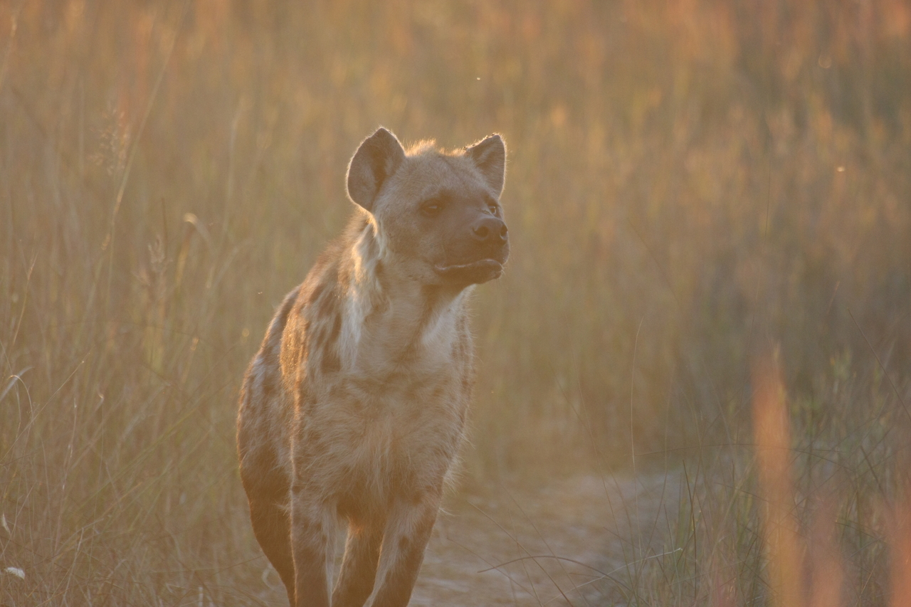 [21791] 2016_06_29_11_45_55_Africa_Canon_EOS_40D_IMG__10985.jpg