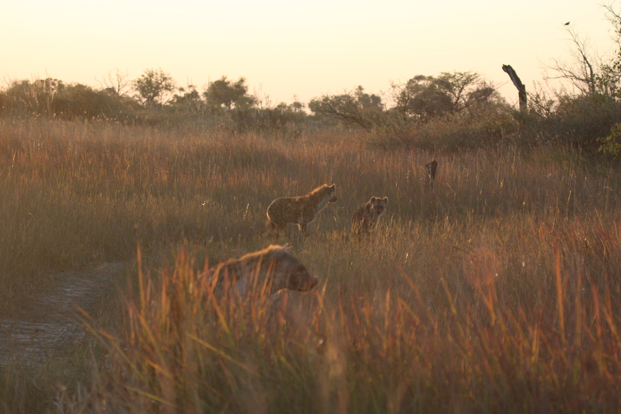 [21798] 2016_06_29_11_46_13_Africa_Canon_EOS_40D_IMG__00299.jpg