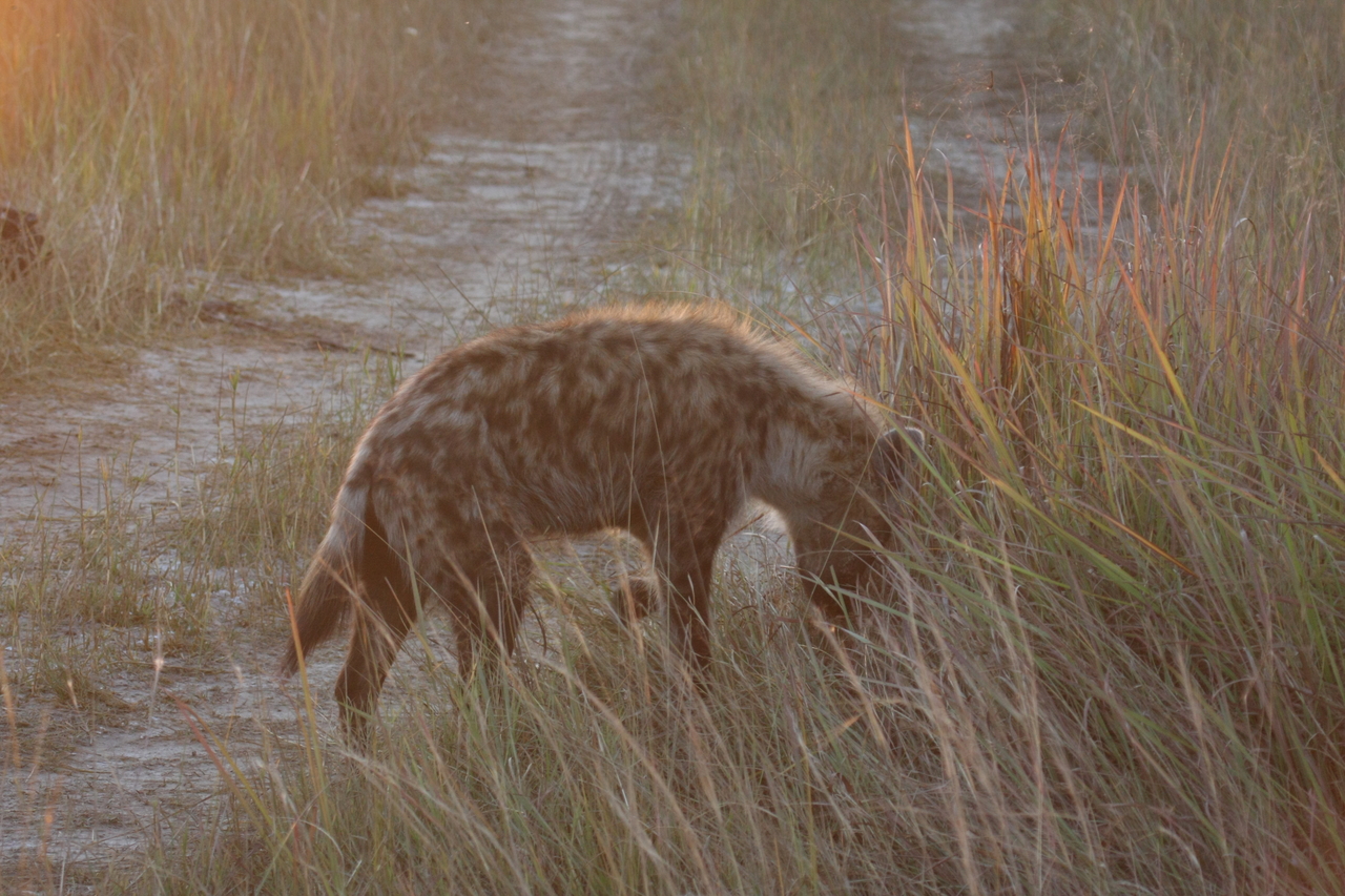 [21868] 2016_06_29_11_49_13_Africa_Canon_EOS_40D_IMG__00326.jpg