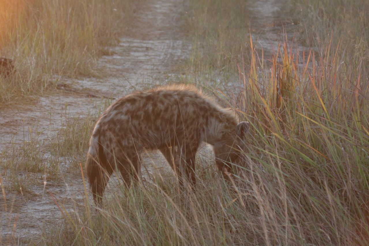 [21870] 2016_06_29_11_49_13_Africa_Canon_EOS_40D_IMG__03567.jpg