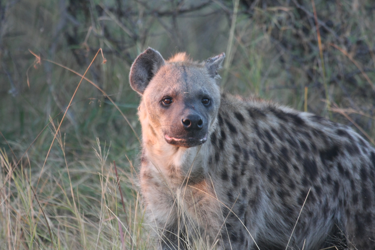 [21885] 2016_06_29_11_51_11_Africa_Canon_EOS_40D_IMG__00331.jpg