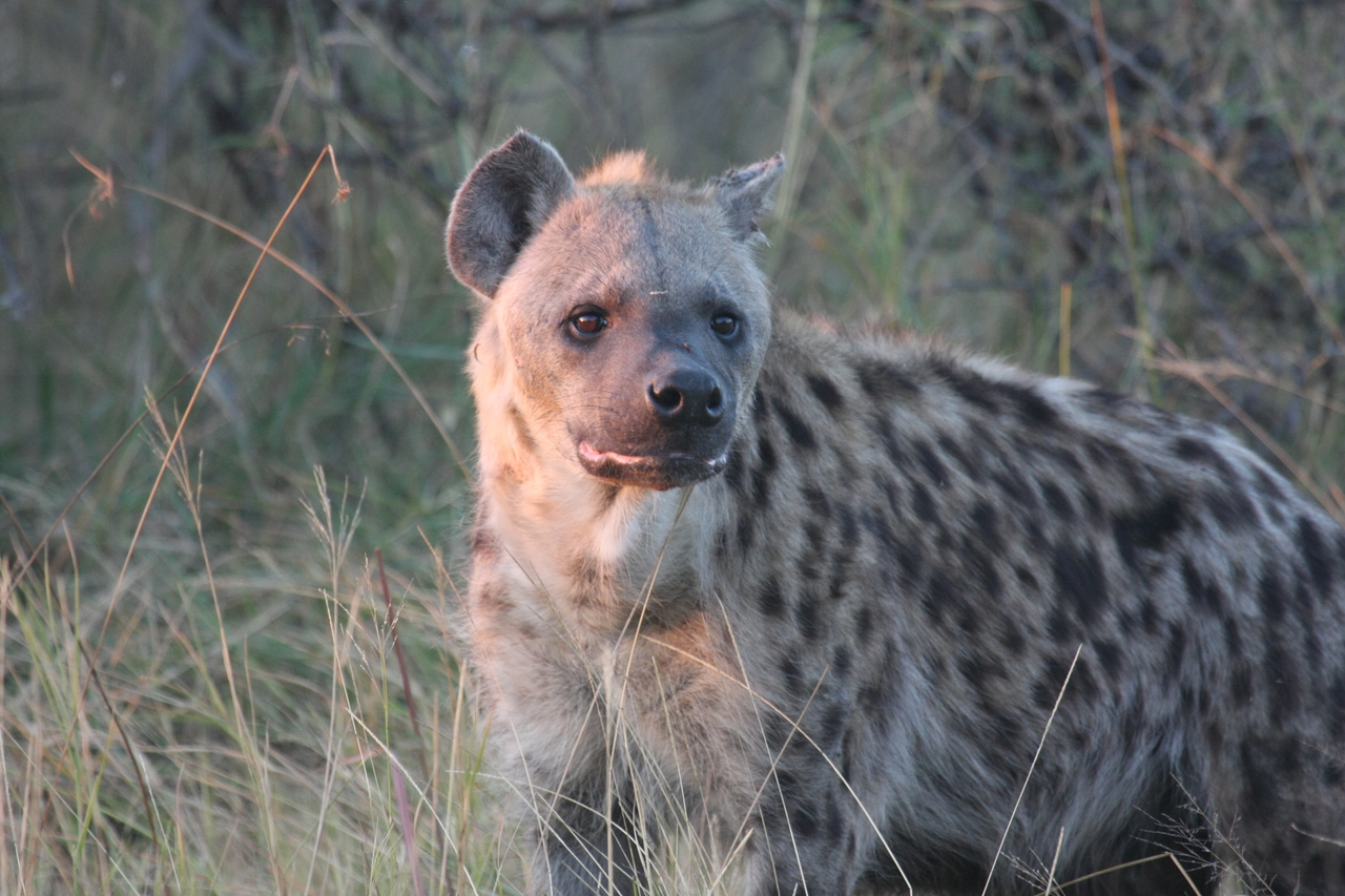 [21887] 2016_06_29_11_51_11_Africa_Canon_EOS_40D_IMG__00333.jpg