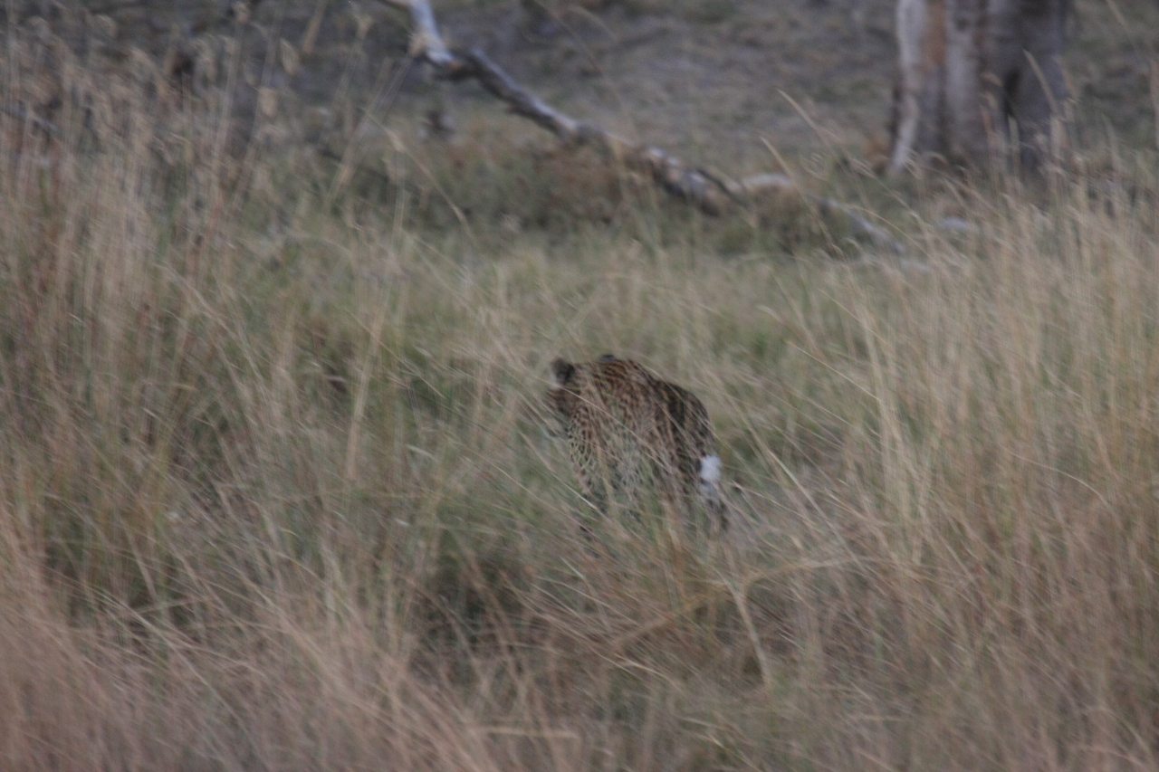 [21965] 2016_06_29_12_08_53_Africa_Canon_EOS_40D_IMG__03602.jpg