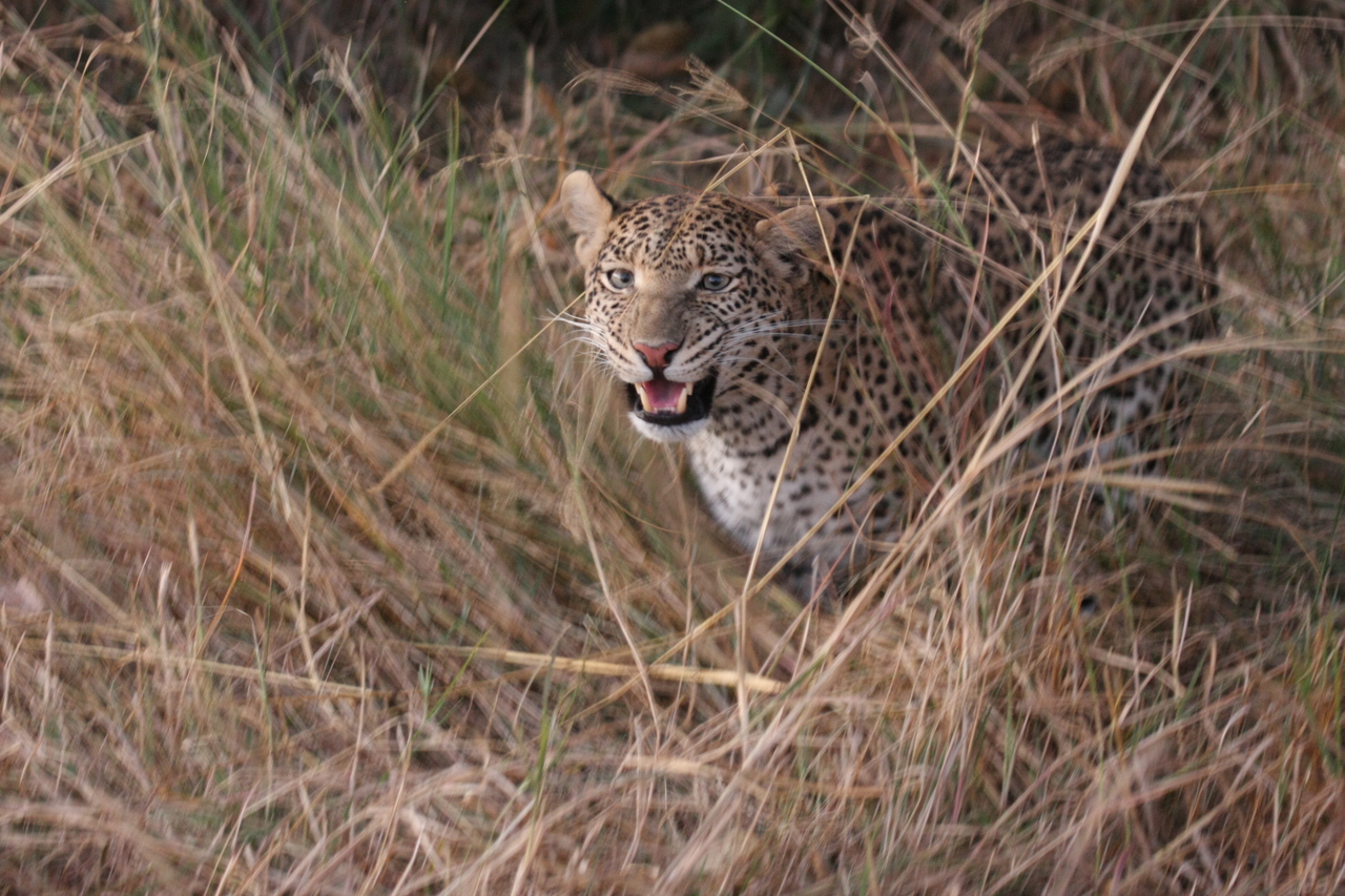 [22040] 2016_06_29_12_12_28_Africa_Canon_EOS_40D_IMG__00388.jpg