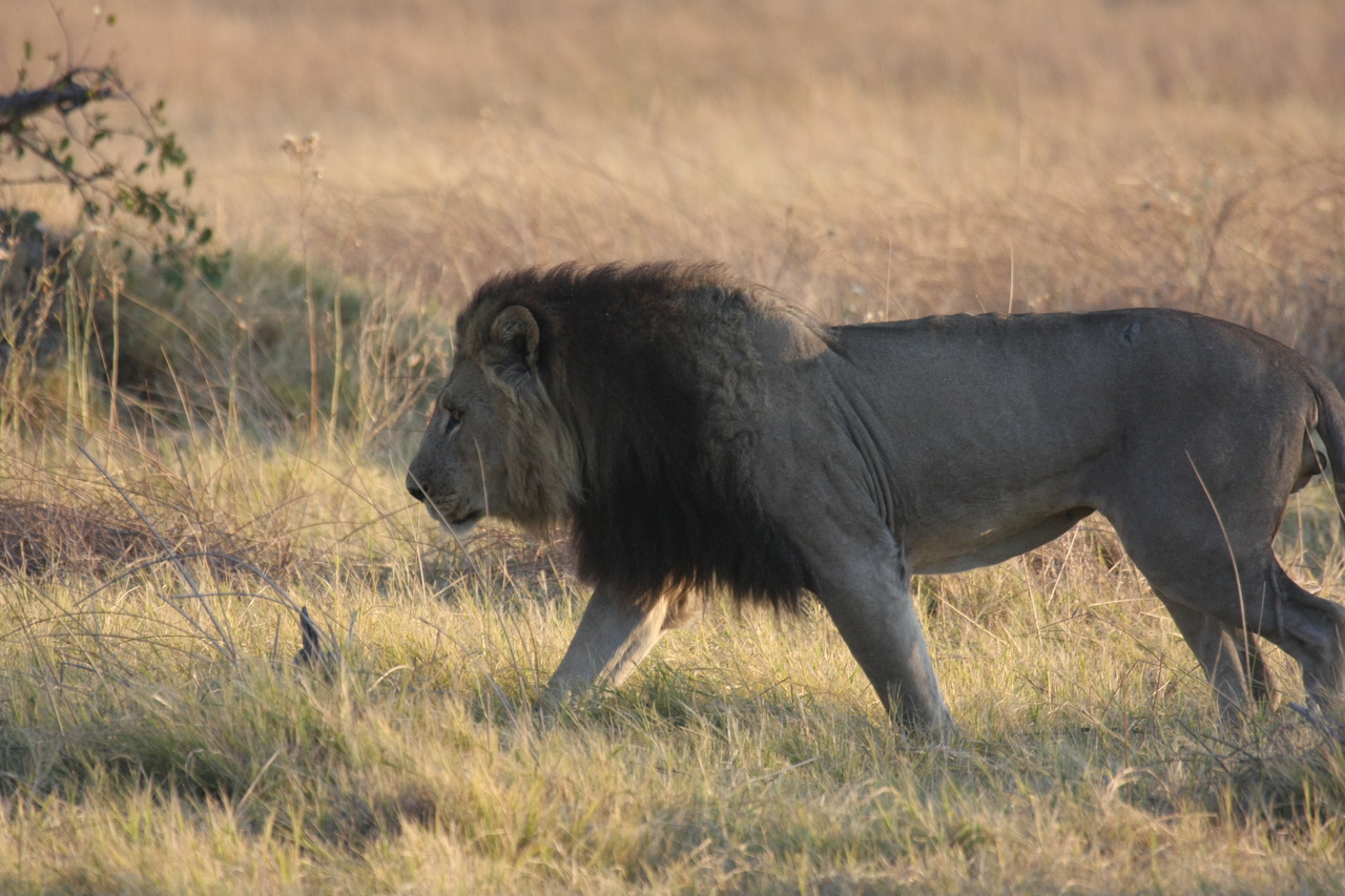 [22610] 2016_06_30_01_36_42_Africa_Canon_EOS_40D_IMG__04206.jpg