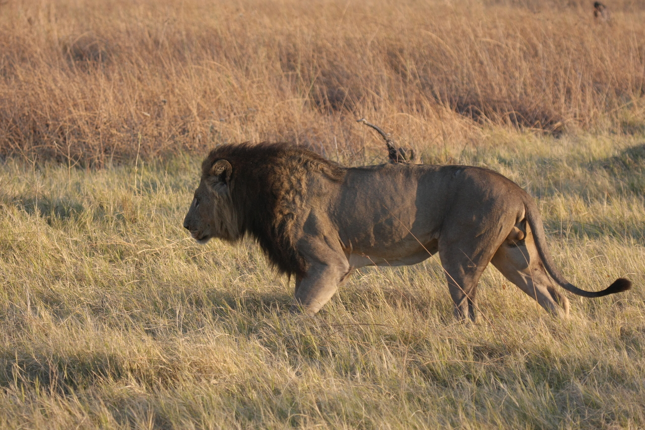 [22619] 2016_06_30_01_37_25_Africa_Canon_EOS_40D_IMG__04239.jpg