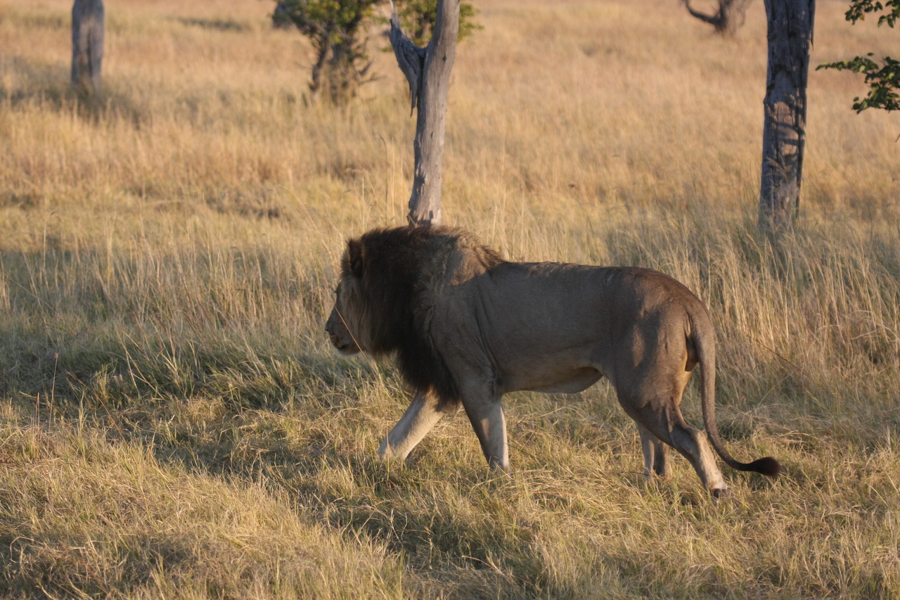 [22630] 2016_06_30_01_38_38_Africa_Canon_EOS_40D_IMG__00558.jpg