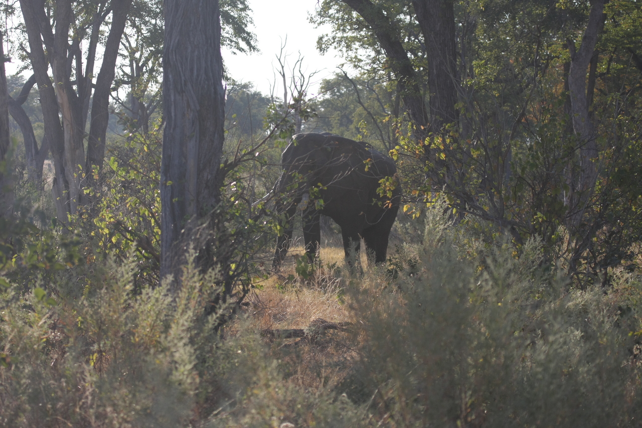 [22950] 2016_06_30_02_13_45_Africa_Canon_EOS_40D_IMG__00059.jpg