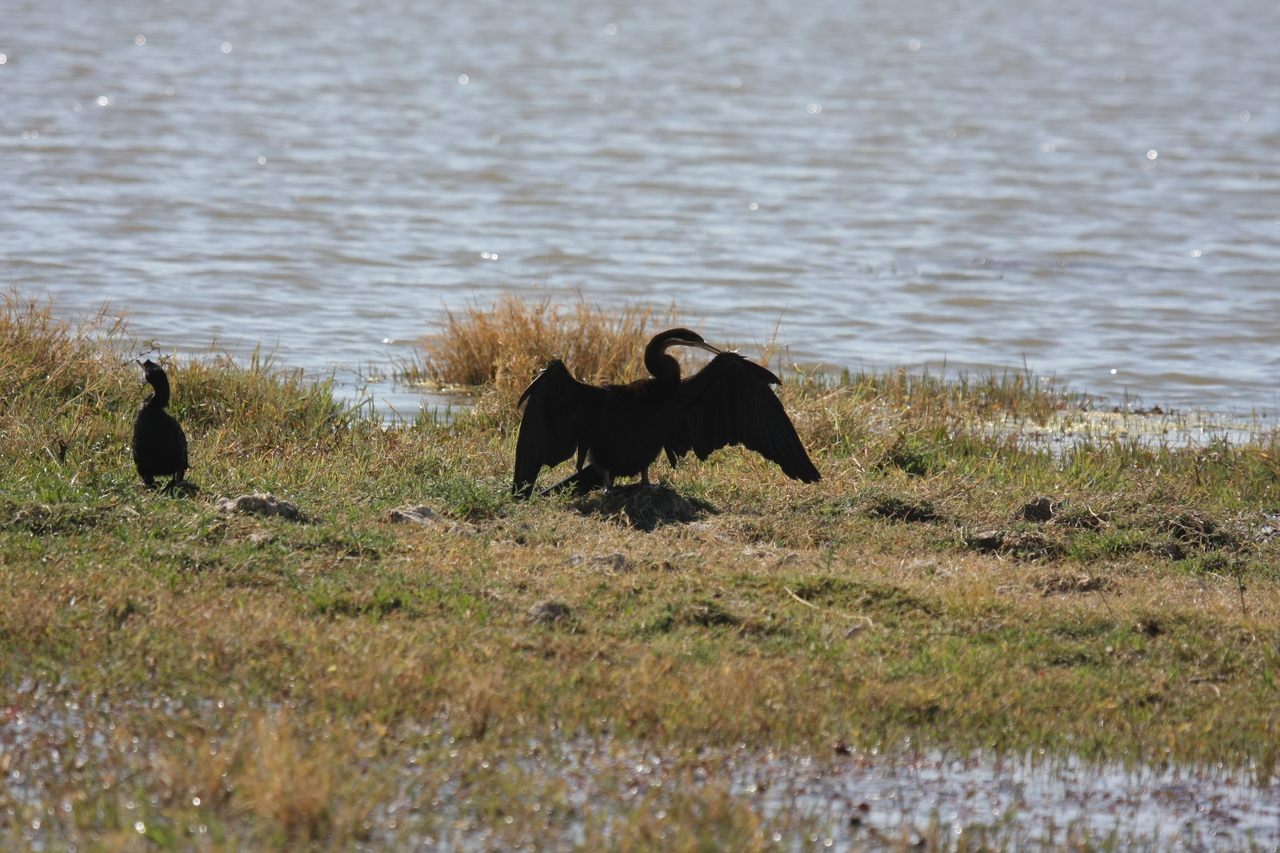 [23898] 2016_06_30_05_25_28_Africa_Canon_EOS_40D_IMG__00339.jpg