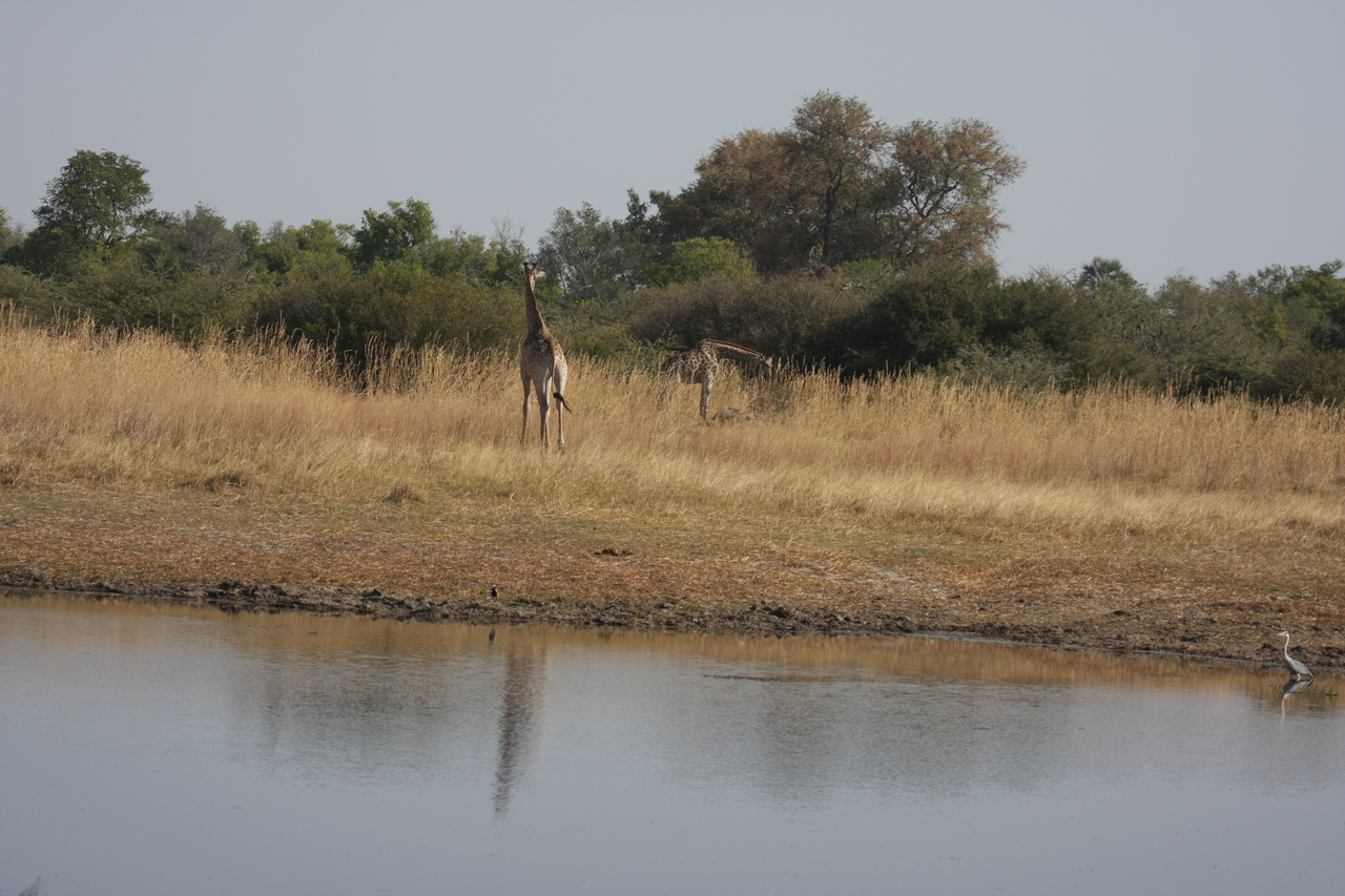 [24685] 2016_06_30_08_58_28_Africa_Canon_EOS_40D_IMG__11767.jpg