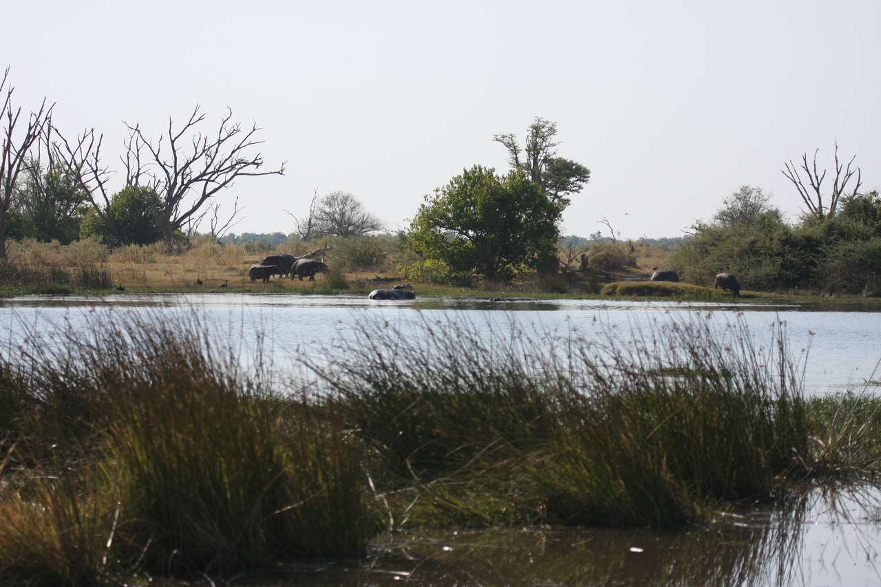 [24723] 2016_06_30_09_05_57_Africa_Canon_EOS_40D_IMG__00609.jpg