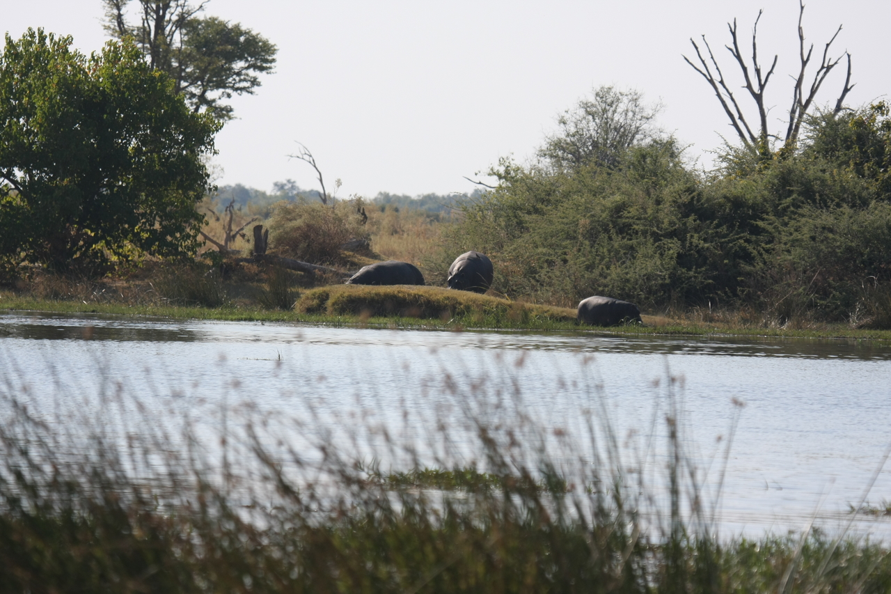 [24747] 2016_06_30_09_06_15_Africa_Canon_EOS_40D_IMG__00618.jpg