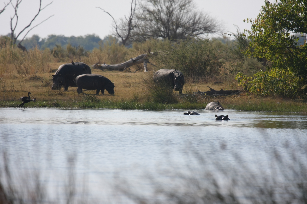 [24758] 2016_06_30_09_06_22_Africa_Canon_EOS_40D_IMG__11792.jpg