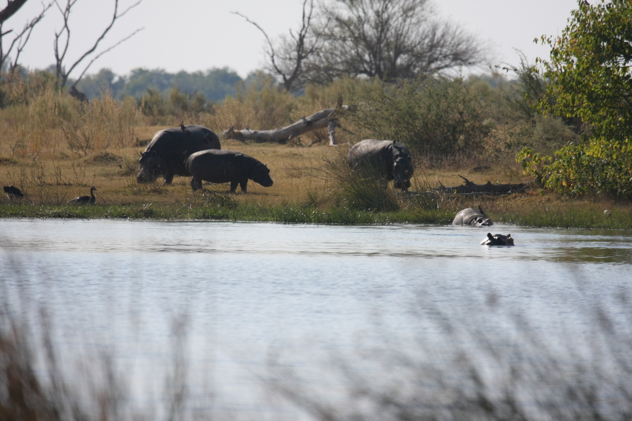 [24766] 2016_06_30_09_06_24_Africa_Canon_EOS_40D_IMG__04349.jpg
