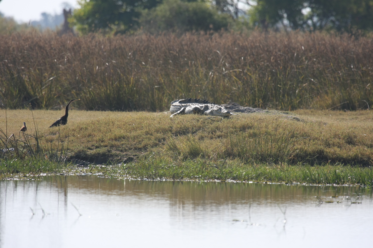 [24778] 2016_06_30_09_09_49_Africa_Canon_EOS_40D_IMG__11801.jpg