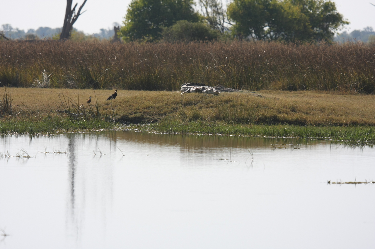 [24787] 2016_06_30_09_10_00_Africa_Canon_EOS_40D_IMG__04357.jpg