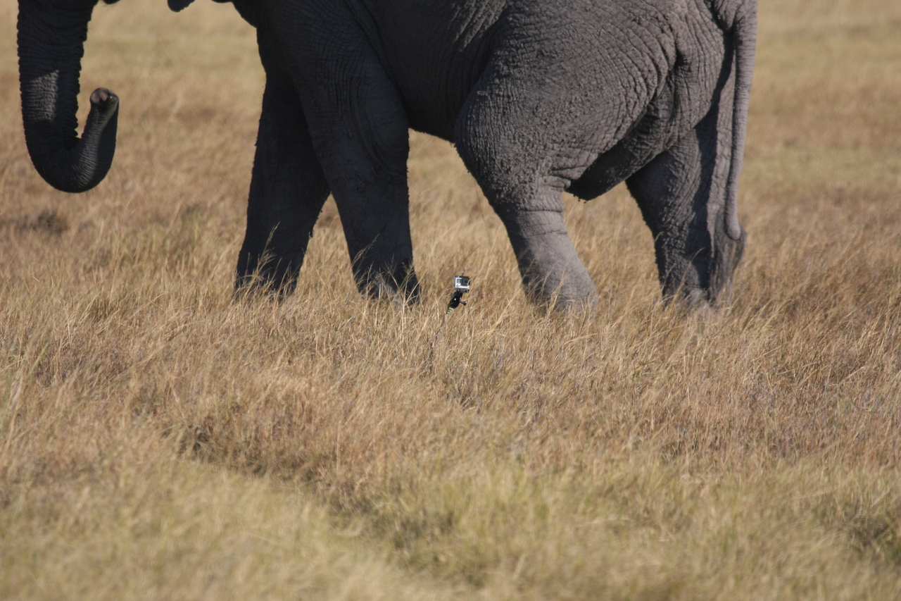[25174] 2016_06_30_10_09_33_Africa_Canon_EOS_40D_IMG__00767.jpg