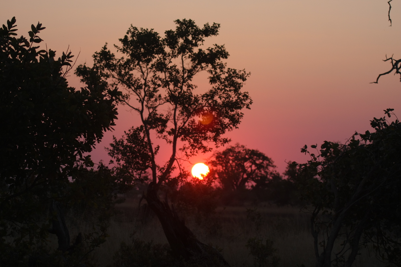 [25218] 2016_06_30_11_53_42_Africa_Canon_EOS_40D_IMG__00782.jpg