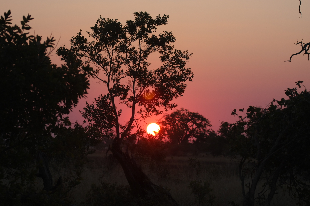 [25229] 2016_06_30_11_53_45_Africa_Canon_EOS_40D_IMG__00785.jpg