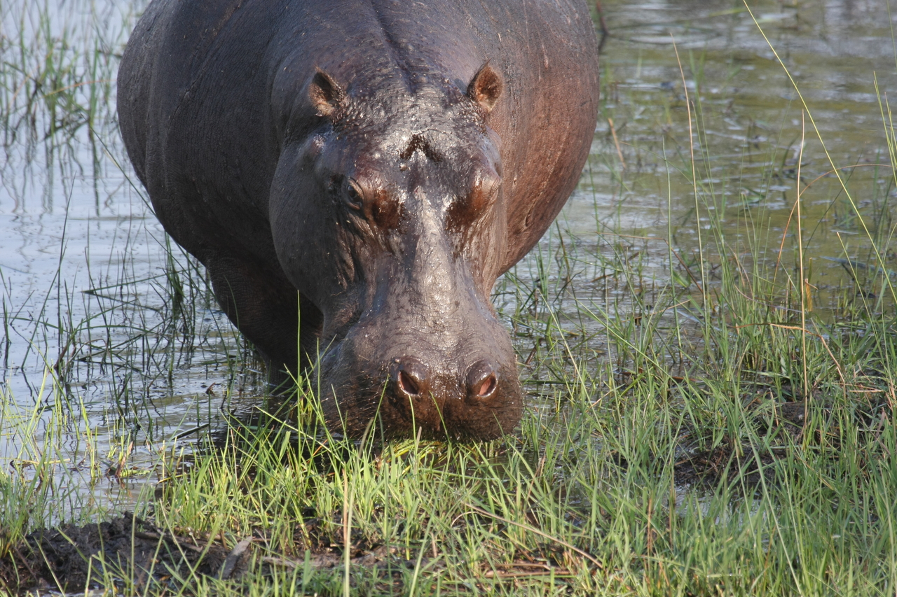 [27633] 2016_07_02_02_47_06_Africa_Canon_EOS_40D_IMG__00219.jpg