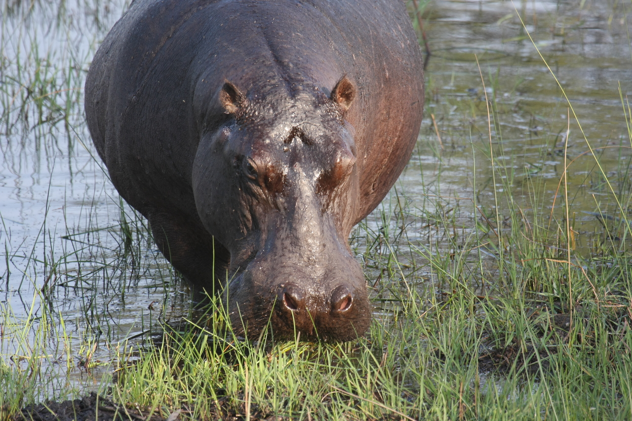[27640] 2016_07_02_02_47_07_Africa_Canon_EOS_40D_IMG__00220.jpg