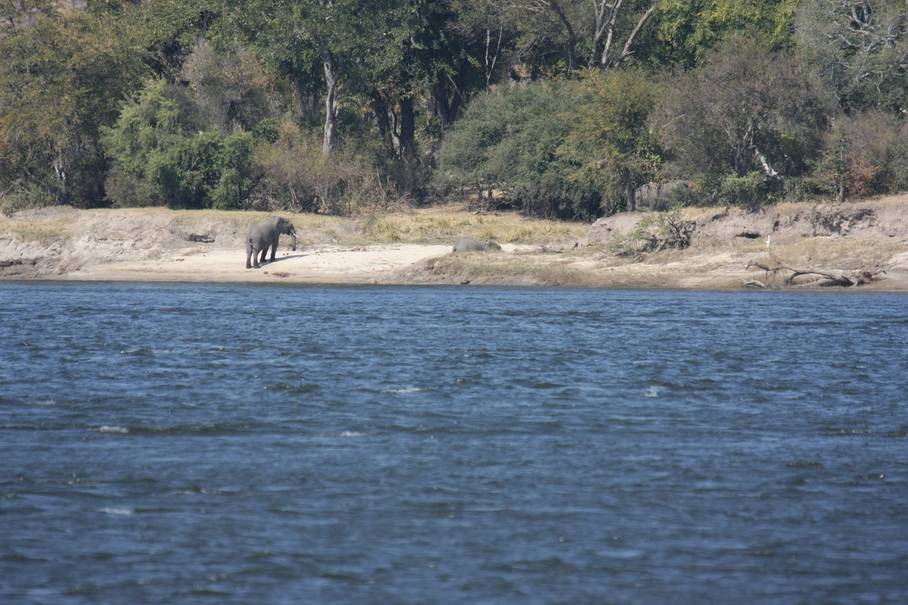 [27856] 2016_07_02_07_53_39_Africa_Canon_EOS_40D_IMG__00287.jpg