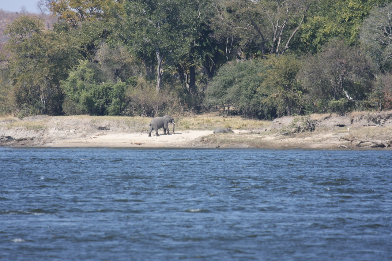 [27877] 2016_07_02_07_53_54_Africa_Canon_EOS_40D_IMG__11999.jpg
