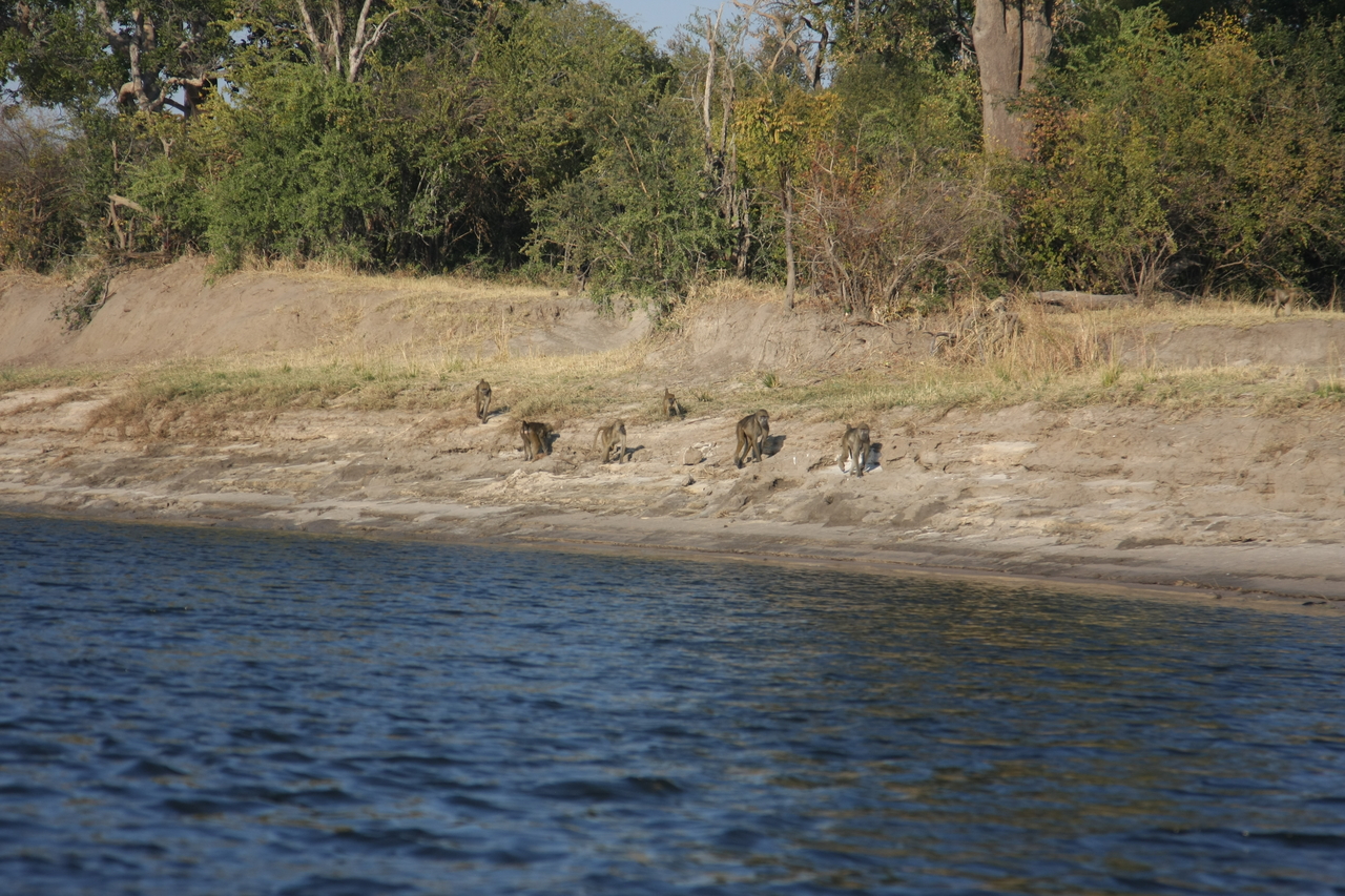 [28197] 2016_07_02_10_26_13_Africa_Canon_EOS_40D_IMG__00042.jpg