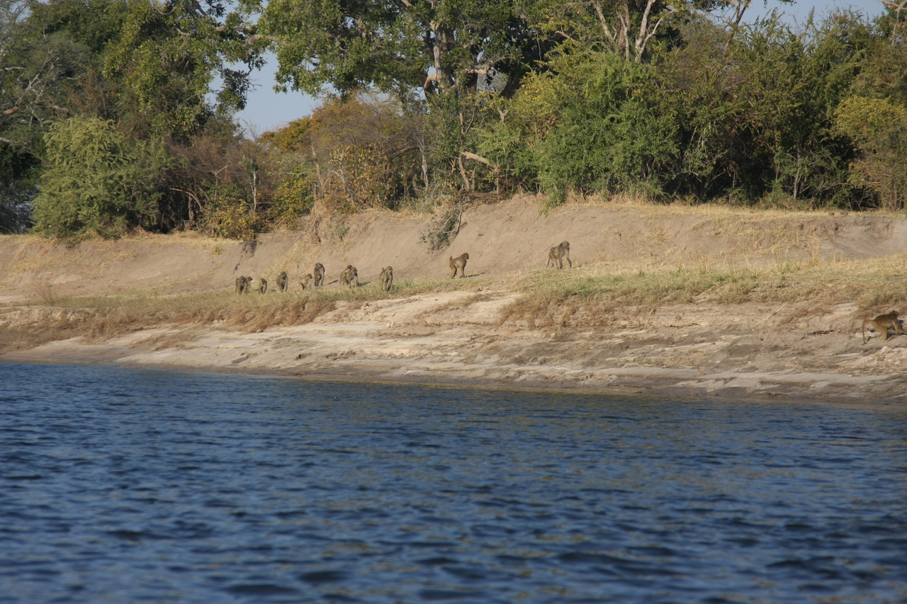 [28211] 2016_07_02_10_26_35_Africa_Canon_EOS_40D_IMG__00049.jpg