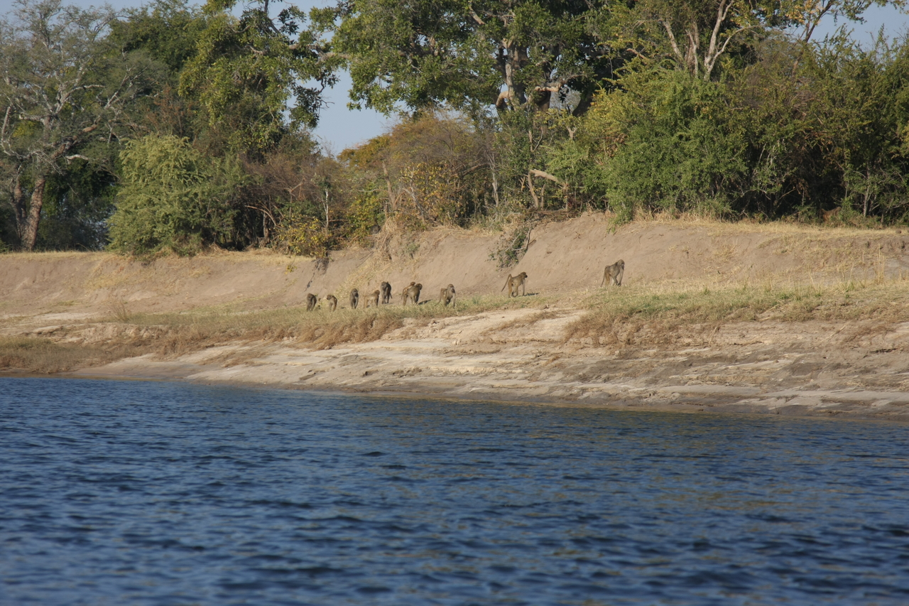 [28215] 2016_07_02_10_26_35_Africa_Canon_EOS_40D_IMG__12036.jpg