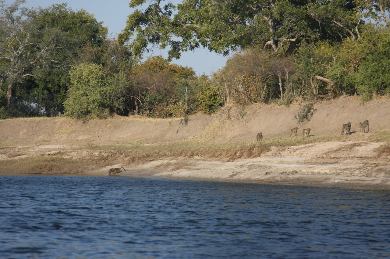 [28228] 2016_07_02_10_26_57_Africa_Canon_EOS_40D_IMG__04596.jpg