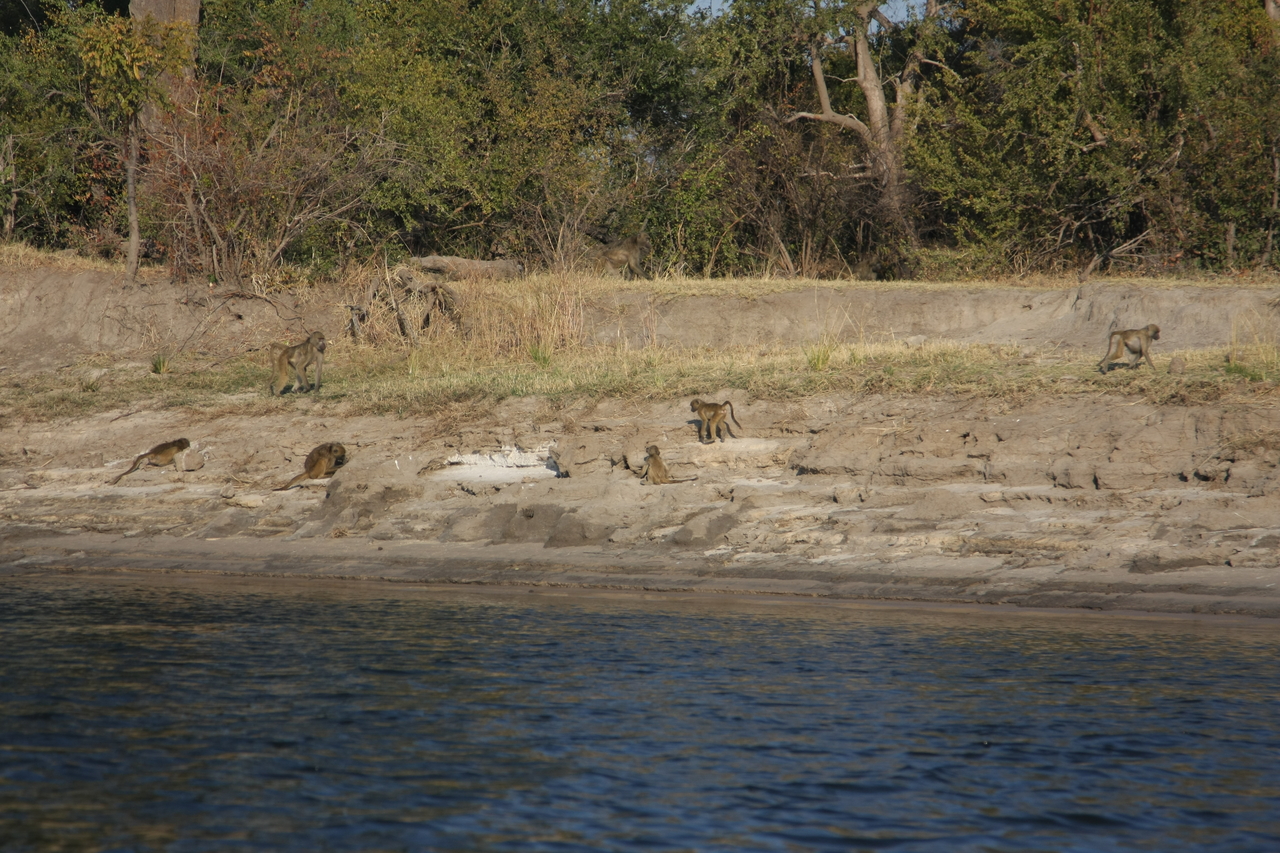 [28245] 2016_07_02_10_27_09_Africa_Canon_EOS_40D_IMG__00060.jpg