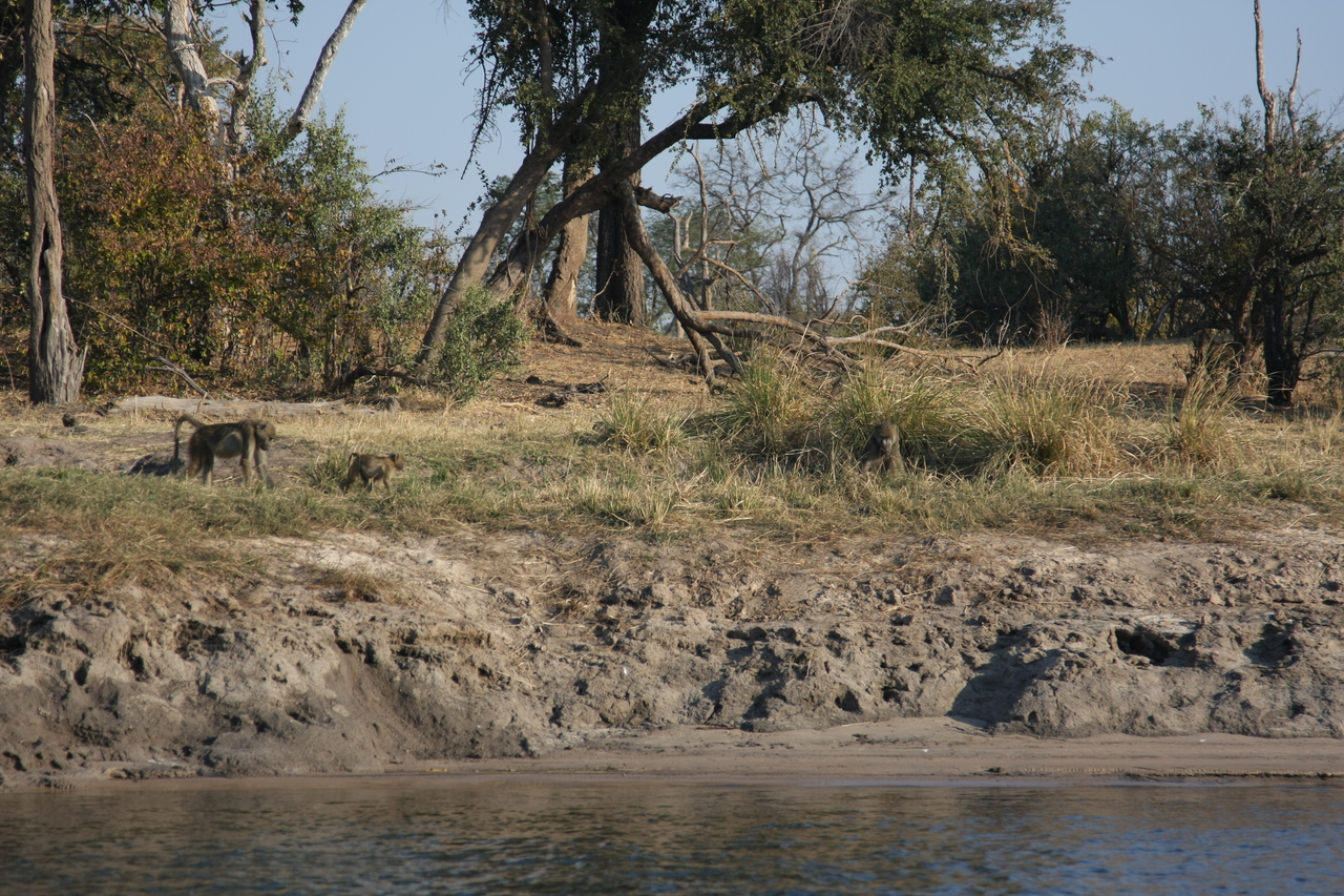 [28256] 2016_07_02_10_27_16_Africa_Canon_EOS_40D_IMG__12053.jpg