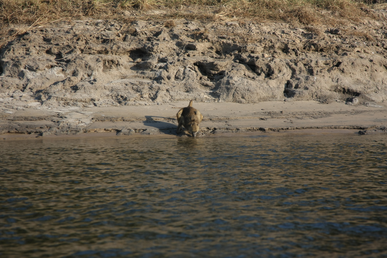 [28279] 2016_07_02_10_28_06_Africa_Canon_EOS_40D_IMG__12061.jpg