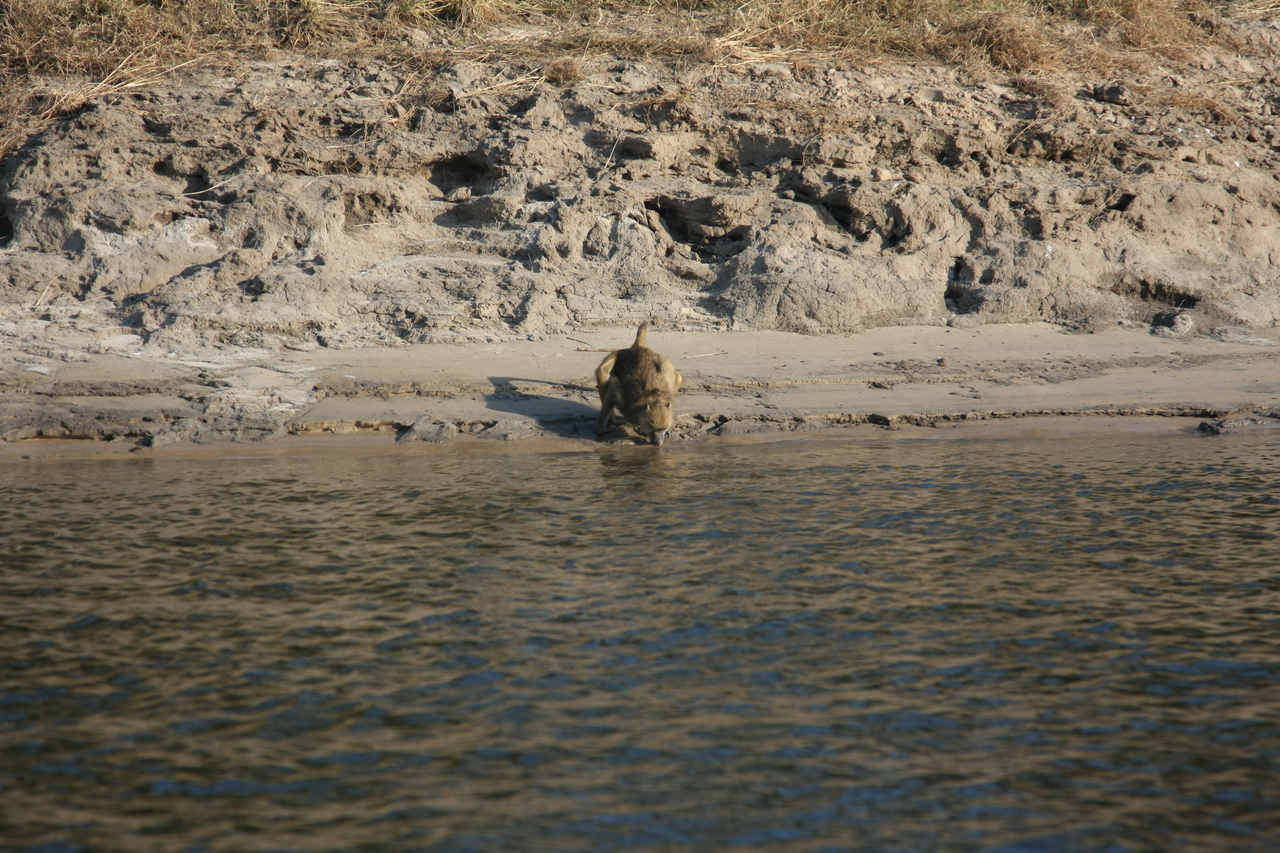 [28282] 2016_07_02_10_28_07_Africa_Canon_EOS_40D_IMG__00074.jpg