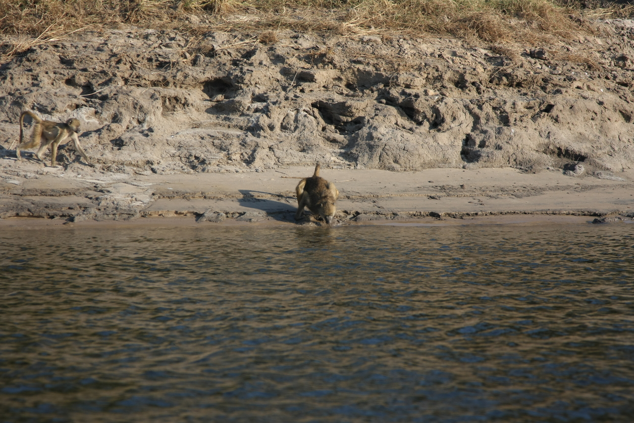 [28289] 2016_07_02_10_28_10_Africa_Canon_EOS_40D_IMG__12065.jpg